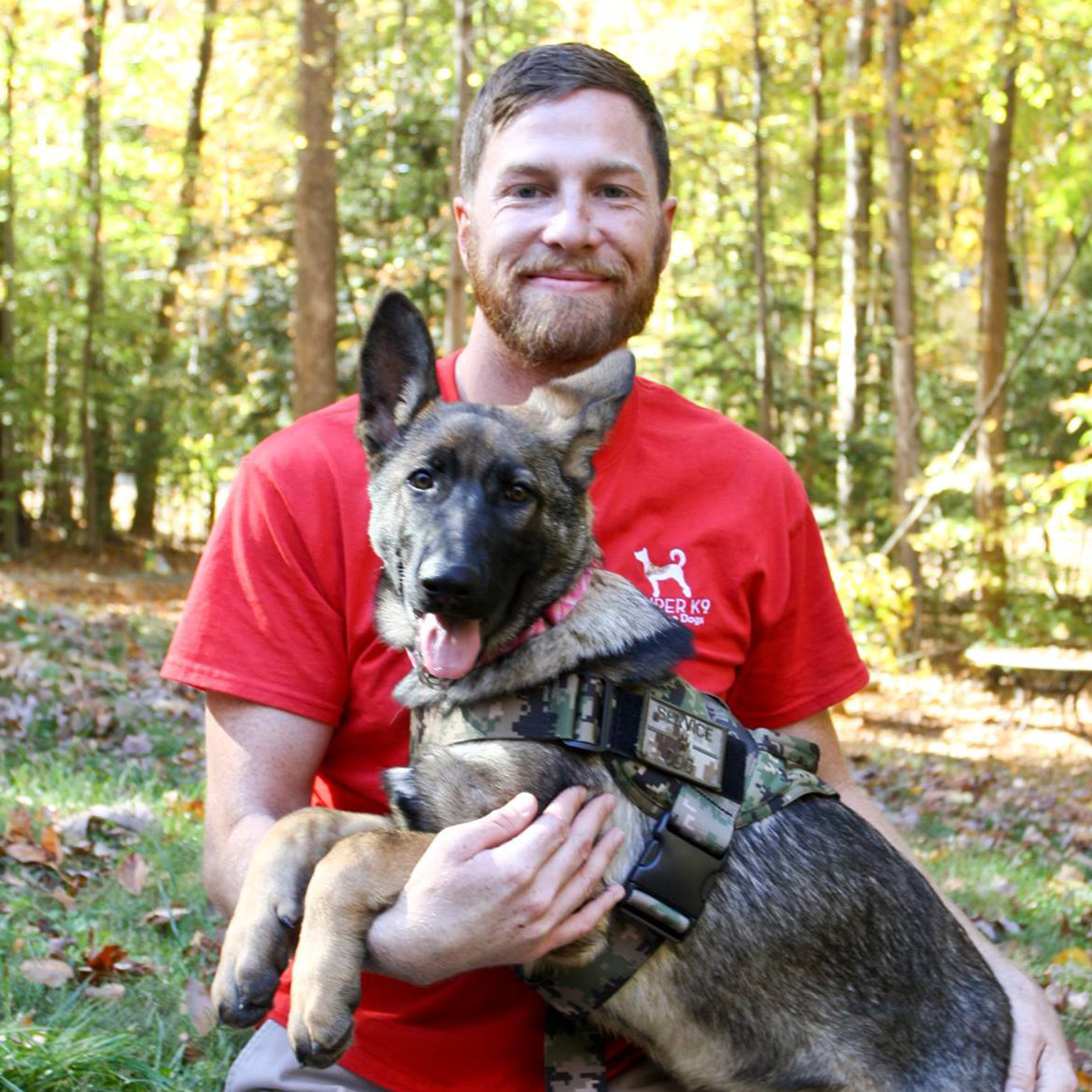 service dogs for veterans