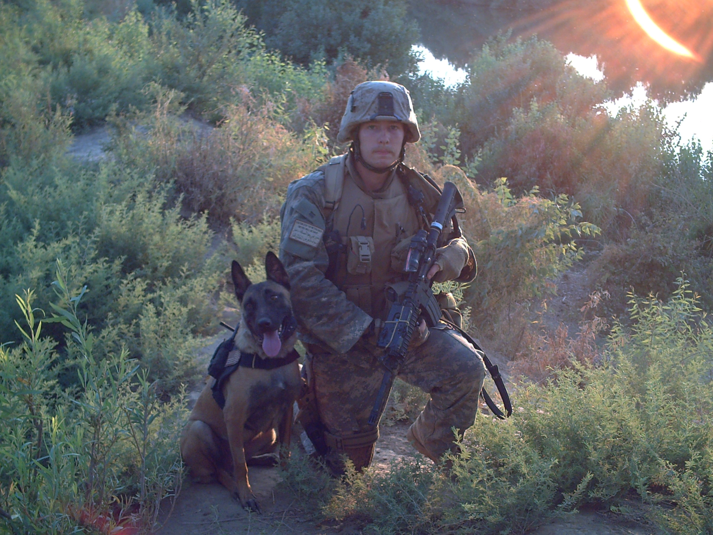 marine corps specialized search dog