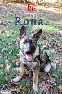 semper-k9s-rona-small