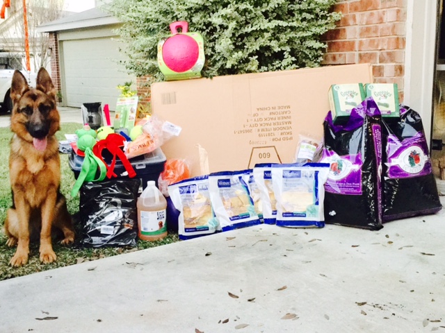 Belleau was donated by CMC Dog Training. Clients of the training facility also collected these items for her. It was their wish that she be given to a veteran to be trained as a service dog.