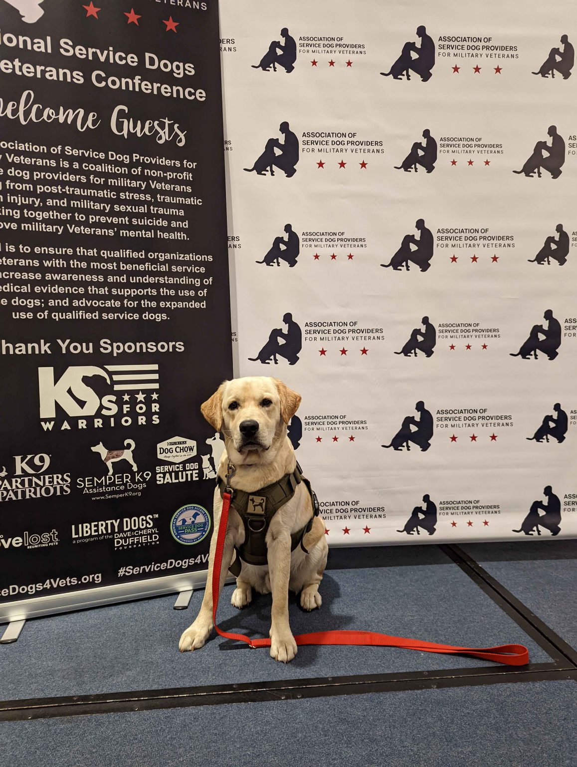 National Service Dogs for Veterans Conference Why You Need to Attend